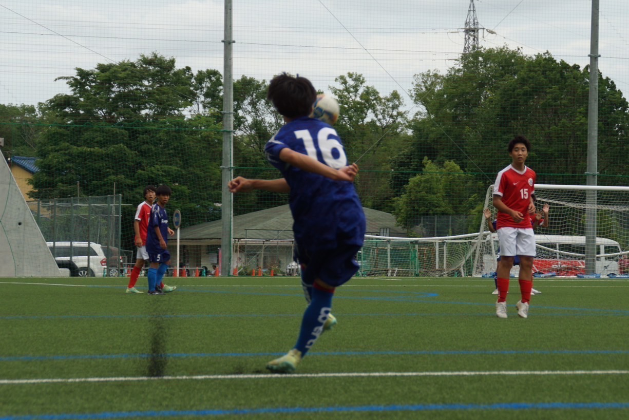Image (3)